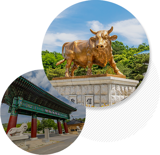 대진대학교 전경